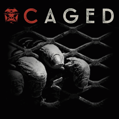 Kill The Kong : Caged